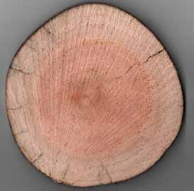 Picture7