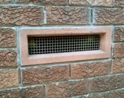 Picture13